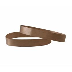 Teflon Band Activa BP4000, 2 stuks